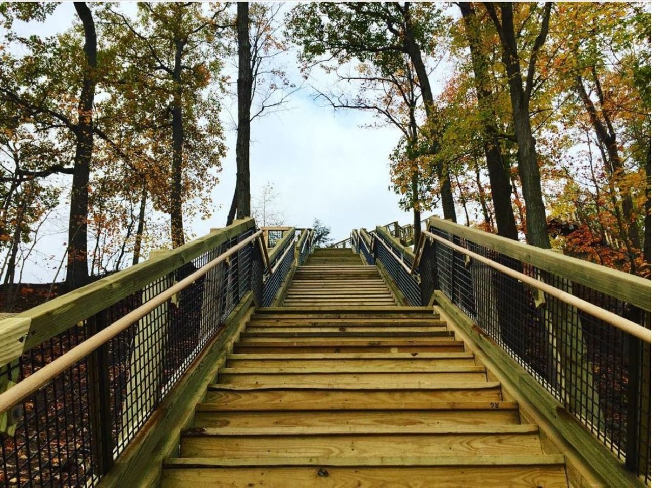 Fort Hill Stairs
440-734-6660, 24000 Valley Pkwy, North Olmsted
Climbing up all of these steps is well worth the effort, as they'll take you to one of the best views in Cleveland. They're located right behind the Rocky River Nature Center.
Photo via clevemetroparks/Instagram