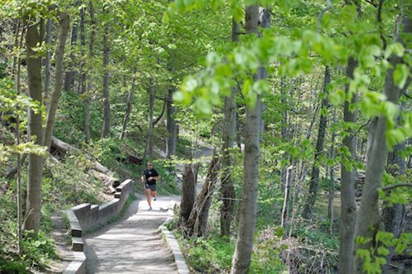 All Purpose Trail, Rocky River Reservation              
"Park at Willow Bend Picnic Area and walk one mile south on the All Purpose Trail to the Berea Falls Overlook. There is one big hill along the way to make it a bit more challenging, but views of scenic Berea Falls are well worth it."