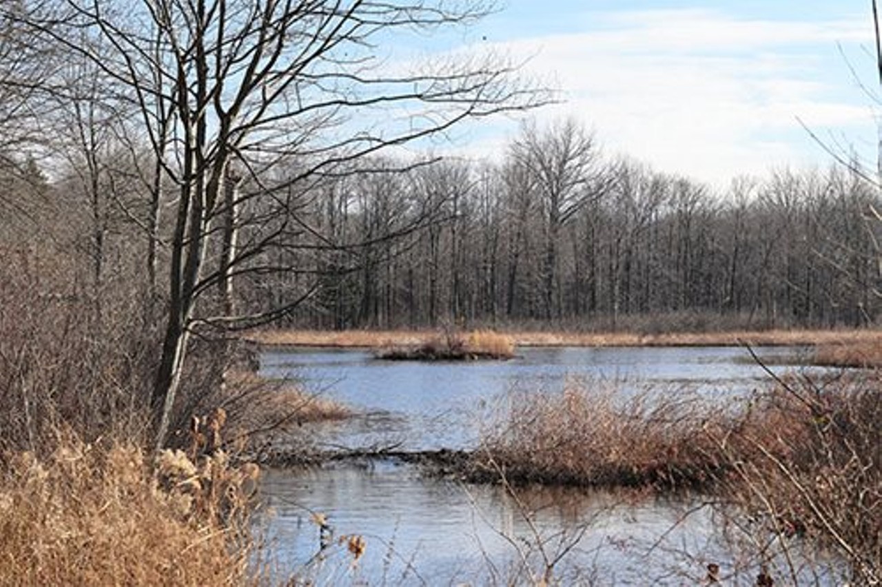 Marsh Loop, North Chagrin Reservation
"Start this hike by the owl aviary then take the short, paved loop around Sanctuary Marsh and enjoy the scenic boardwalk. The climbable snake and frogs next to the Nature Center are a great spot for the kids to unwind after this hike."