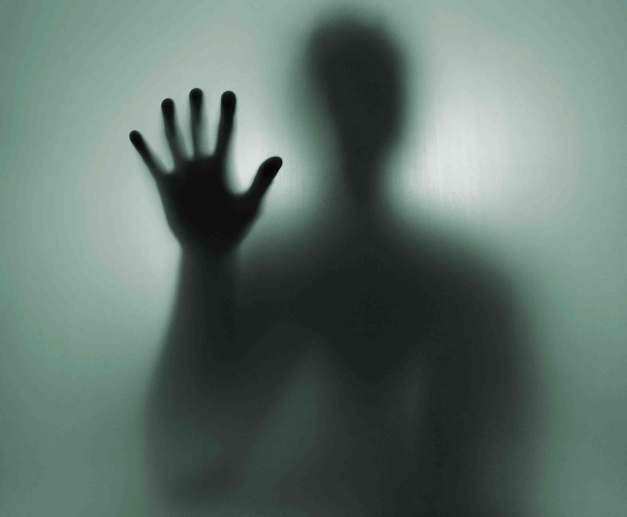 Mysteries of the Afterlife 
When: Sat., Oct. 29, 2-3 p.m. 
Phone: 330-467-8595 
Email: nordoniahills@akronlibrary.org
Join John Carroll University&#146;s Paranormal Research Group for an exploration of the world of the paranormal. After three years investigating paranormal phenomena, they will share stories, history, and evidence from locations around Ohio and the Midwest.
(Nordonia Hills Public Library)
