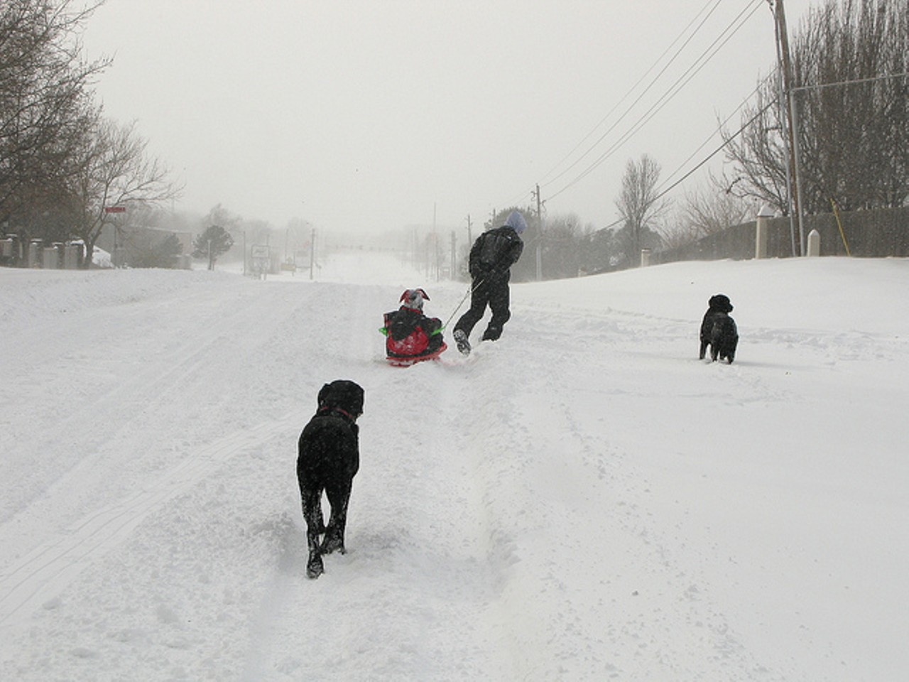 11 Places to Go Sledding in Greater Cleveland Cleveland Cleveland Scene