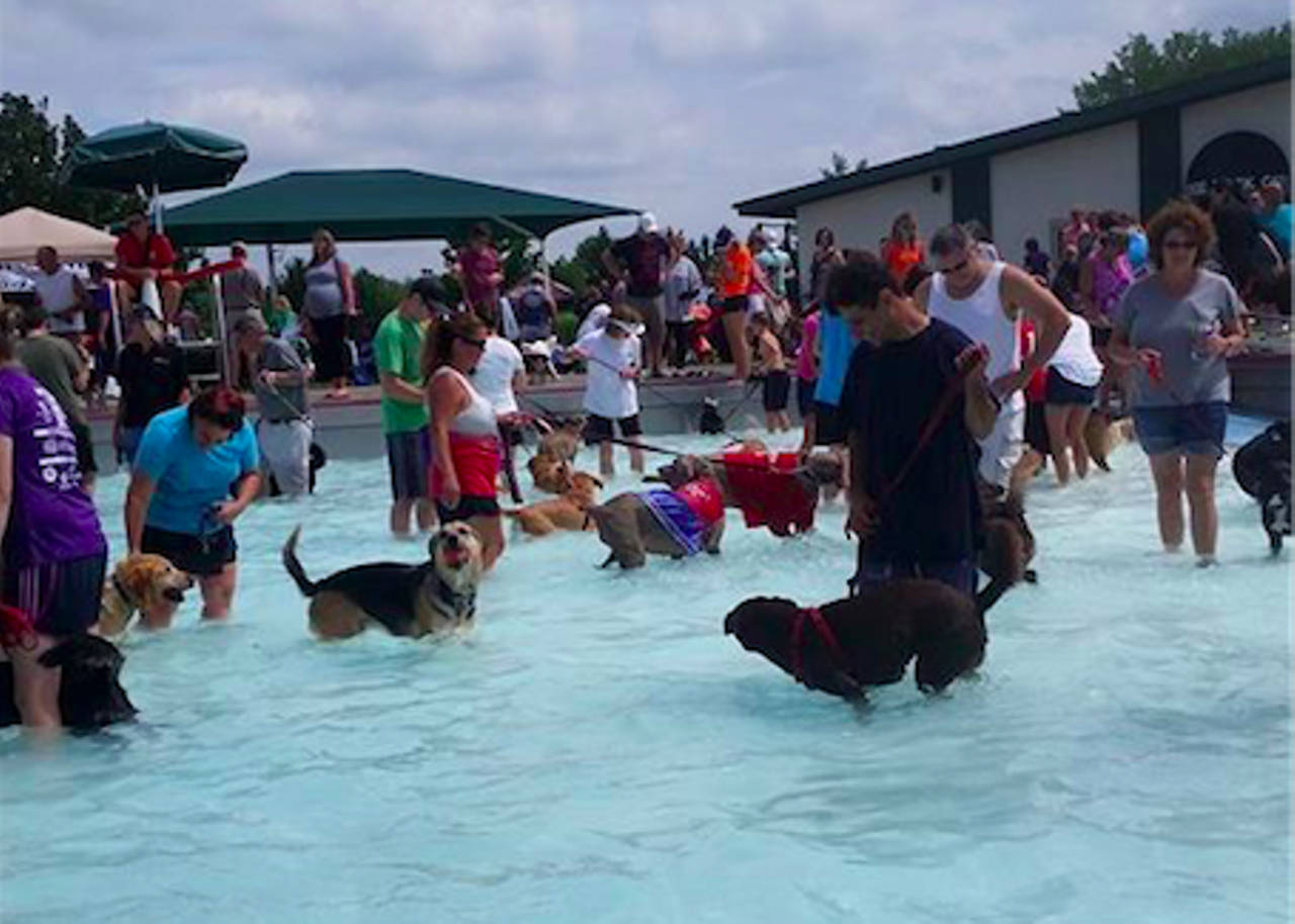 Hinckley Ledge Pool - Take your best friend with you for a swim at their annual Dog Paddle and Pet-A-Palooza on August 23 at 1151 Ledge Rd. 
Hinckley, OH 
(Photo courtesy of Facebook user Thomas G. Malloy)