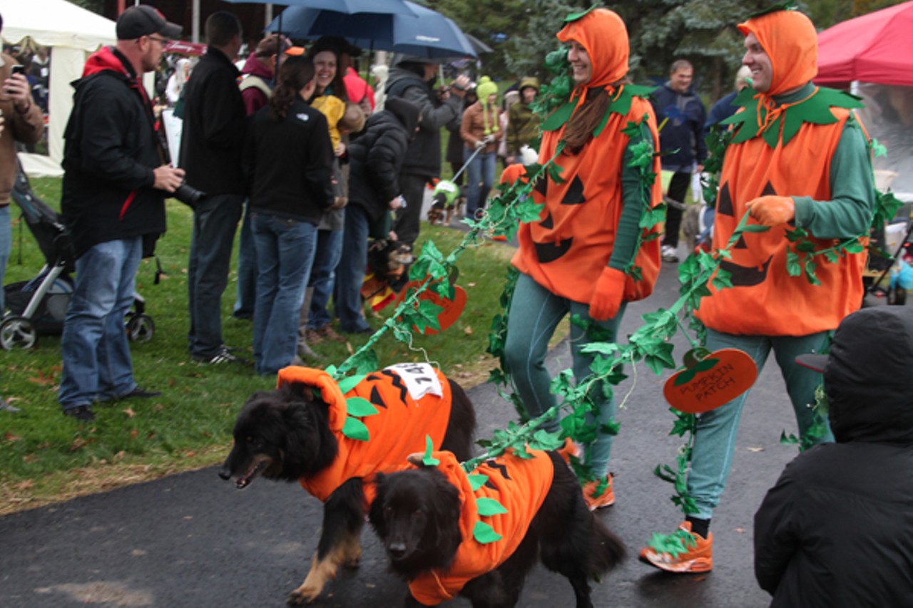 15 Photos from the Spooky Pooch Parade at Kauffman Park in Lakewood