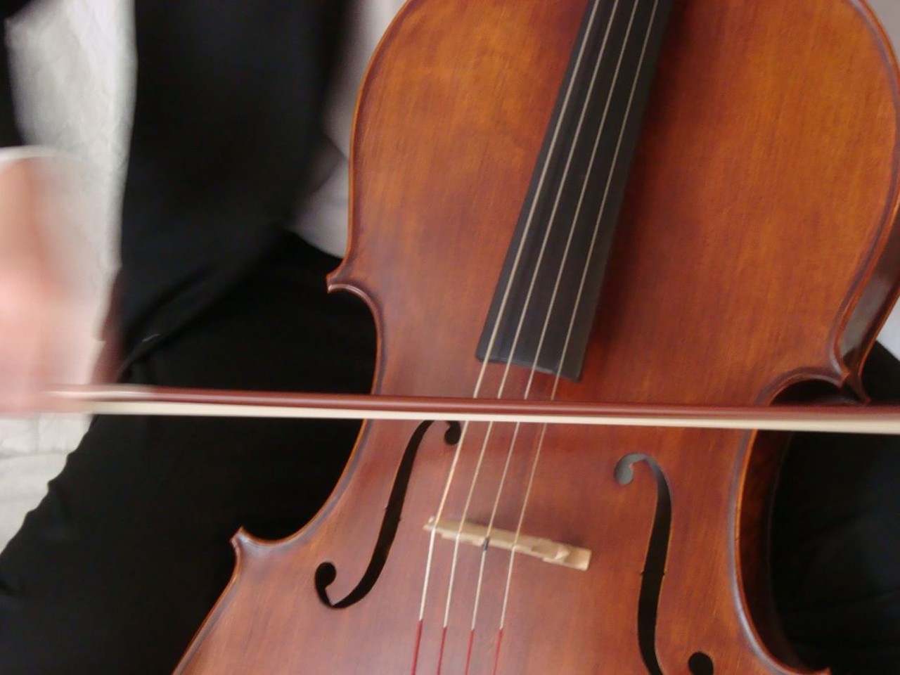  i Cellisti 2019
Fri, Jan. 11
Photo via Wikimedia Commons