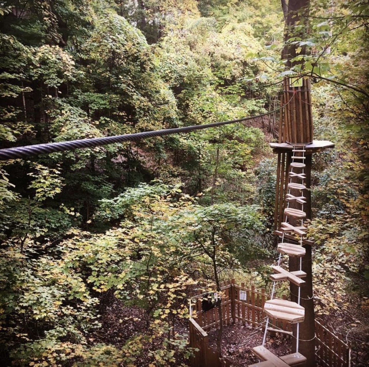  Zip Line and Ropes Course at the Metroparks
16200 Valley Pkwy., Strongsville
Head to the Mill Stream Run Reservation in Strongsville for ziplining and a ropes course. The Metroparks has teamed up with ziplining company Go Ape to give you beautiful views of the parks from above.
Photo via @GoApeCleveland/Instagram