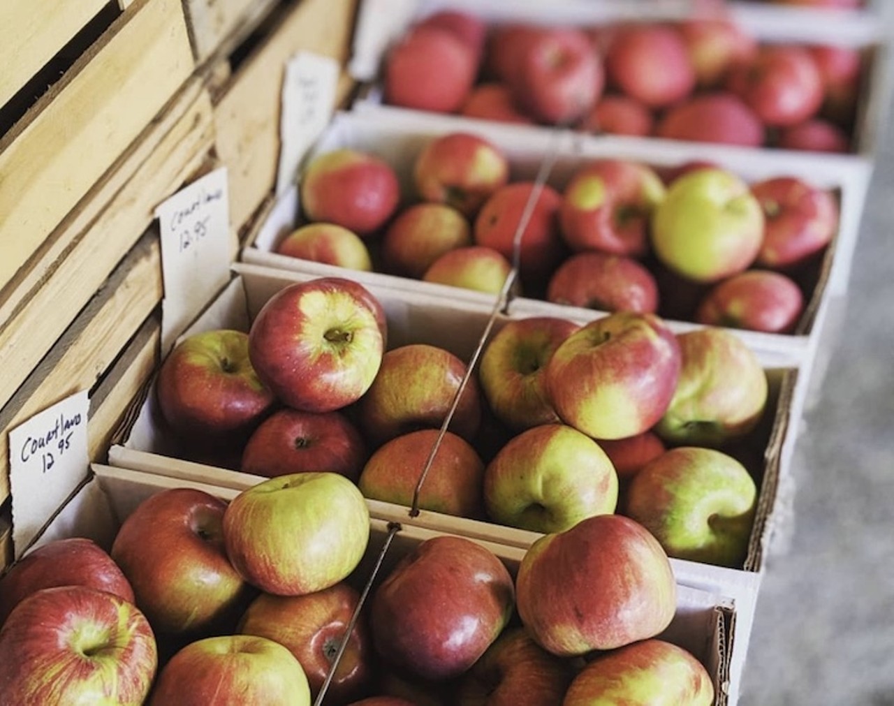 Richardson Farms
6984 Lafayette Rd., Medina
Richardson Farms six-generation, fully-working farm. They are open seven days a week, April through October. Pick your own apples and peaches and feel free to say &#147;hi&#148; to the pigs, cows, chickens, and turkeys. Visit the website for hours and directions. 
Photo via acupcakeaday/Instagram
