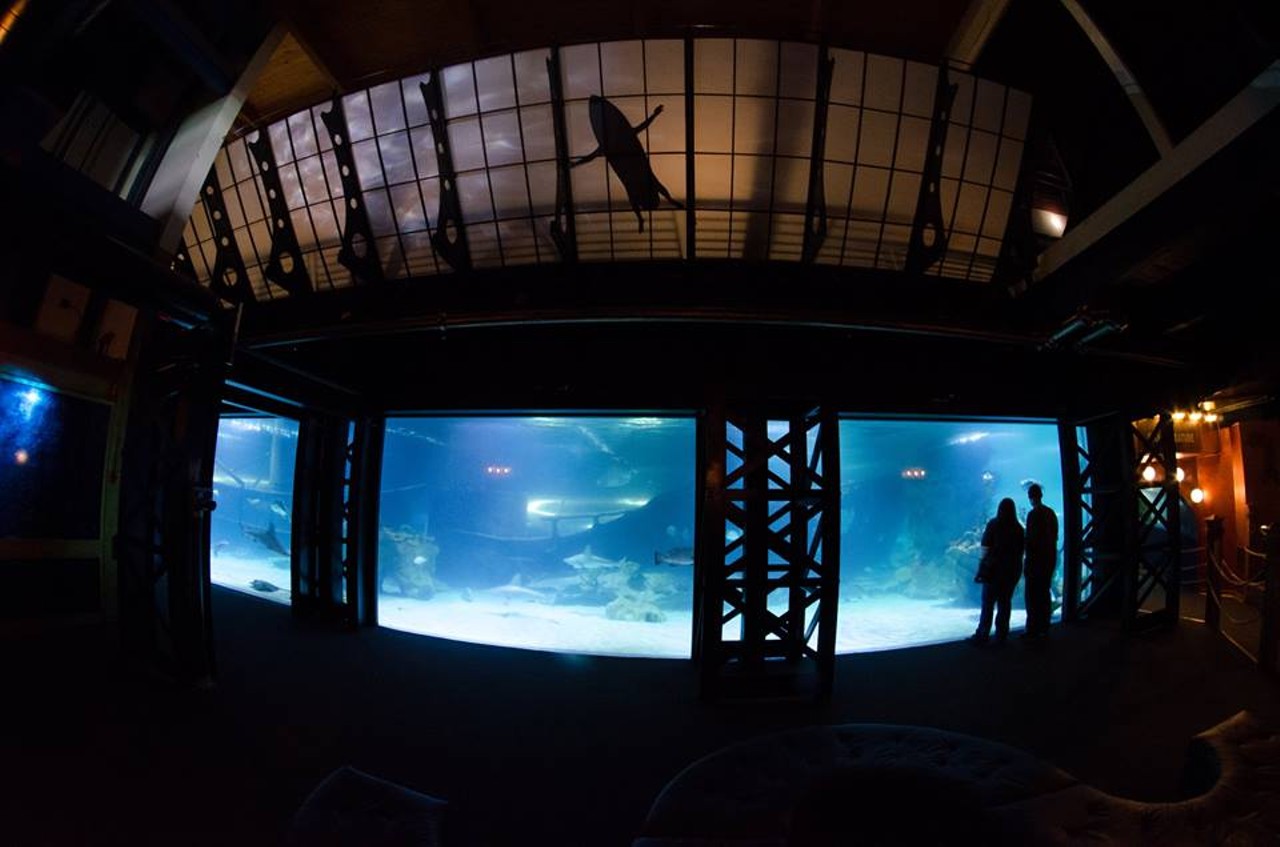 Greater Cleveland Aquarium | 2000 Sycamore St