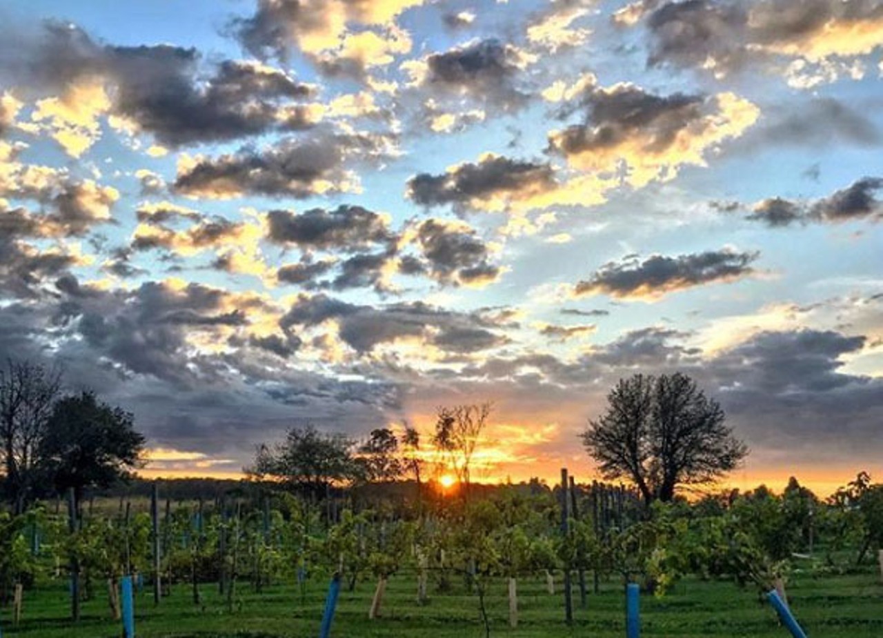 Sharon James Cellars
11303 Kinsman Rd., Newbury, 440-739-4065
Local, hand-crafted wine characterizes this Ohio winery. They have a full production facility, wine bar and outdoor patio along with live music each week. 
Photo via streganina/Instagram