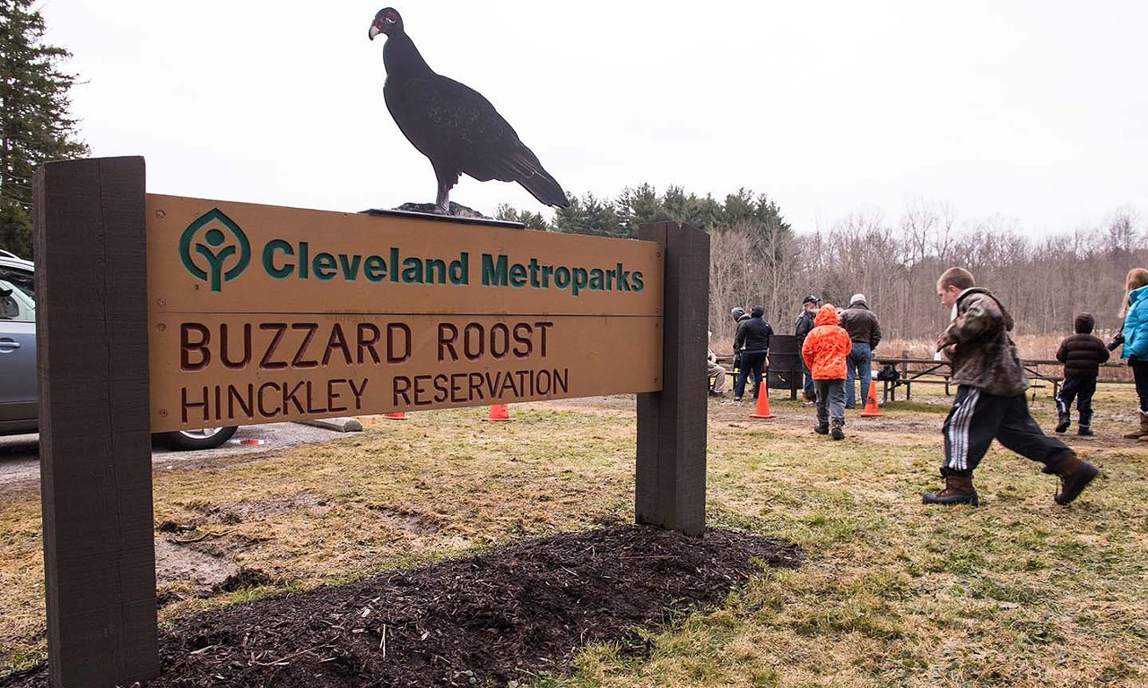 The Buzzards
Around March 15 every year, the buzzards return to Hinckley. Since the 1950s, this has been A Thing in Cleveland, with folks gathering at the Metropark’s reservation in Hinckley to keep an eye on the sky, play Buzzard-theme games, listen to music and generally geek out over all things Buzzard. Whether or not you’ve ever been or ever plan on going, you know when you see coverage on the news that, yes, spring is coming.