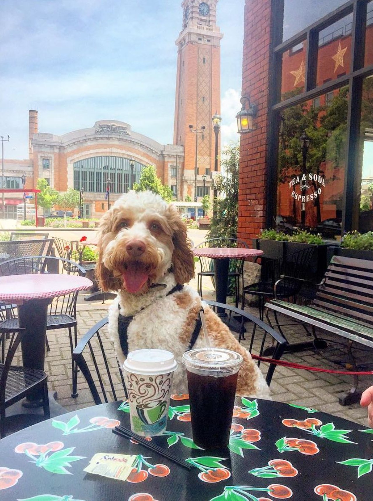  Koffie Cafe
2517 Market Ave., 216-861-2233
Koffie Cafe has an extensive amount of pastry options to pair with your coffee, and a great outdoor patio space perfect for soaking up summer sunshine with your best friend. 
Photo via onehappydoodle/Instagram