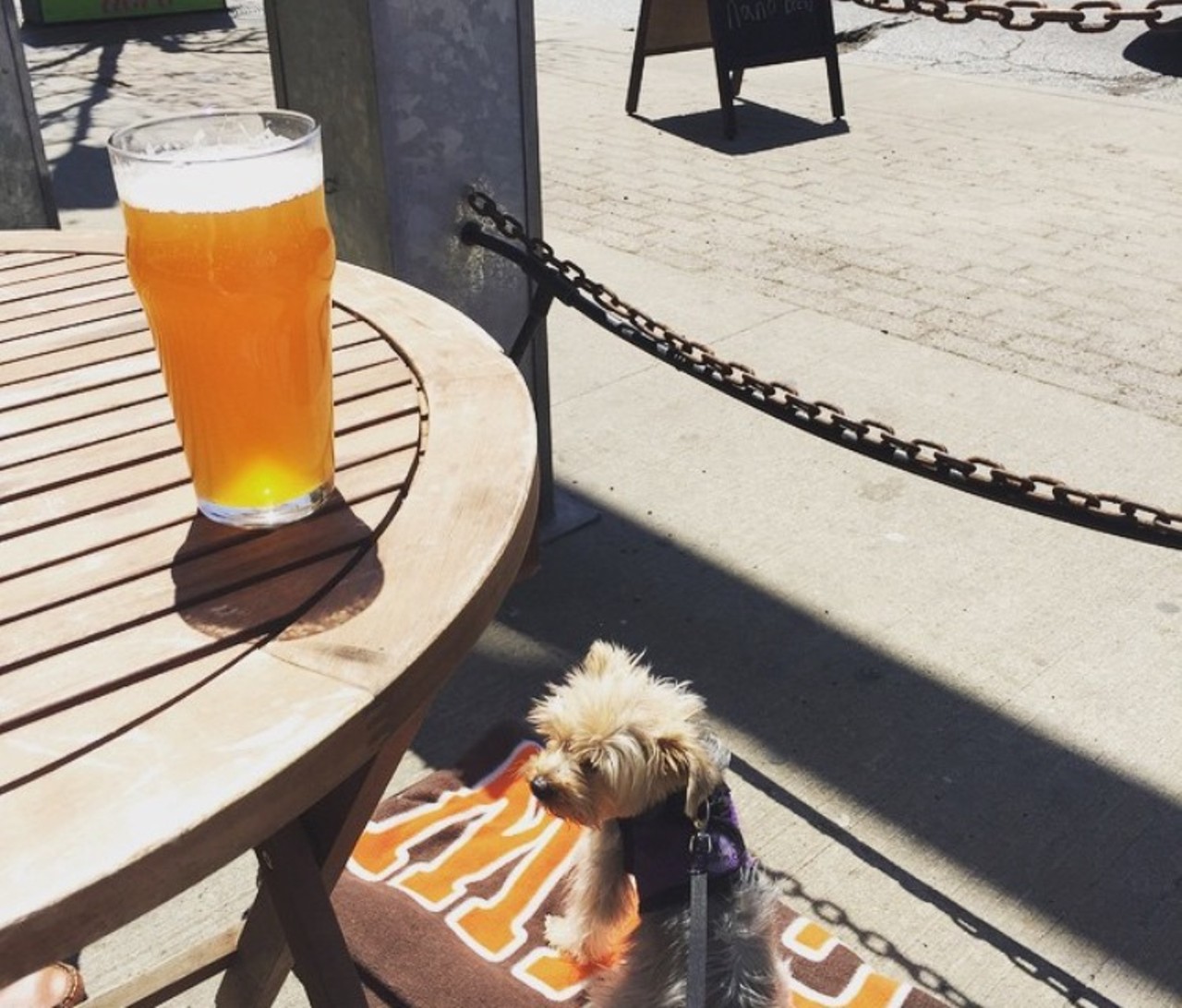 Nano Brew Cleveland
1859 W. 25th St. 
Spend time with your mutt at this local Cleveland outdoor beer garden bar just west of the city. 
(Photo courtesy of Instagram user: @Misskrause)
