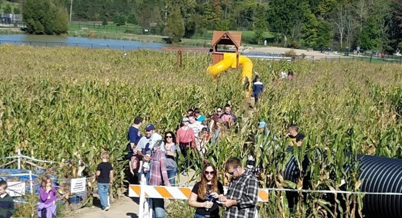  Lake Metroparks Farmpark Corn and Pumpkin Festival 
8800 Euclid Chardon Rd., Kirtland, (440) 256-2122
"Stalk" through this 3-acre corn maze with trivia questions to guide you. Activities also include a kids play area with an assortment of farm-themed character cutouts to provide great photo opportunities, and all the typical Farmpark activities. The corn maze is open through the end of October.
Photo via @lakemetroparks/Instagram