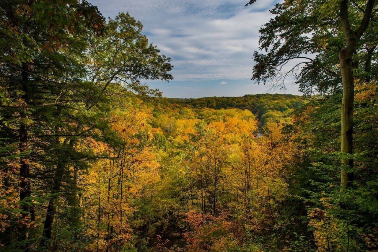 Check out the Foliage
Whether it’s on a drive, a hike, a bike ride or a trail, there are a plethora of great places to see the changing of the colors in Northeast Ohio. There’s about a month when the colors are at their peak. Don’t waste it.