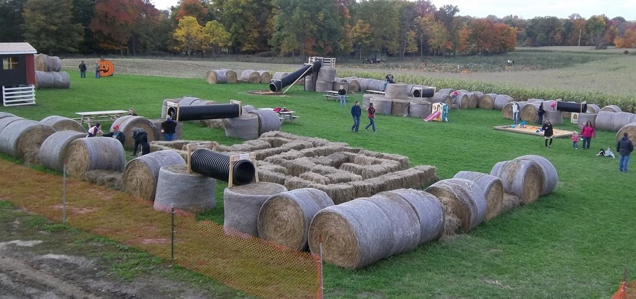  Guyette Farms Fall Fun
10833 Chamberlain Rd., Mantua
Explore a corn maze short enough for families with small children, yet challenging enough for maze enthusiasts. Activities include round bale obstacle course, small bale maze, a corn box slide, animals, hayride, a launching pad, 40 and 80 feet slides and gourd golf. Open Saturday, September 17th through October 31st on Saturdays (noon-7 p.m.) and Sundays (noon-5 p.m.).