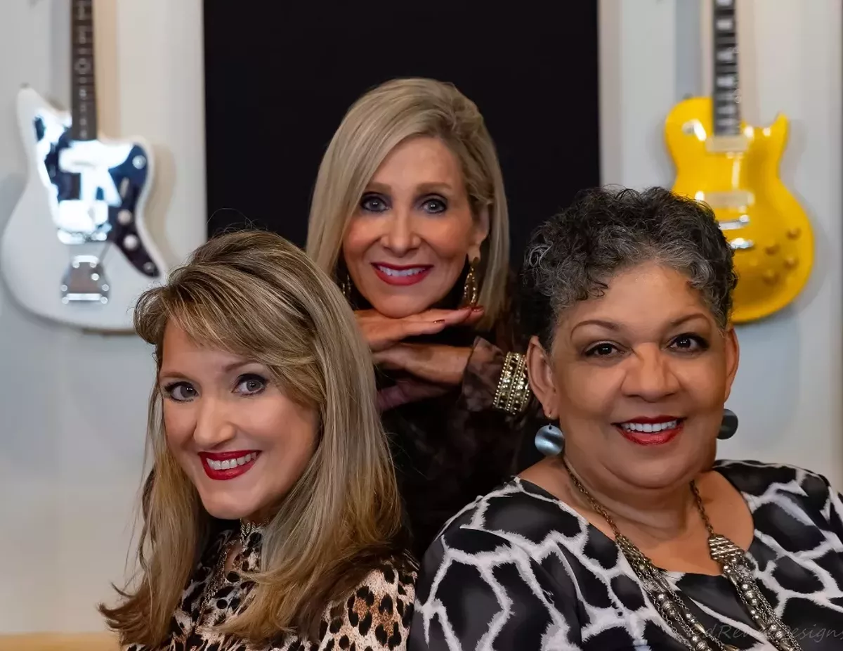 3 Birds and The Wire