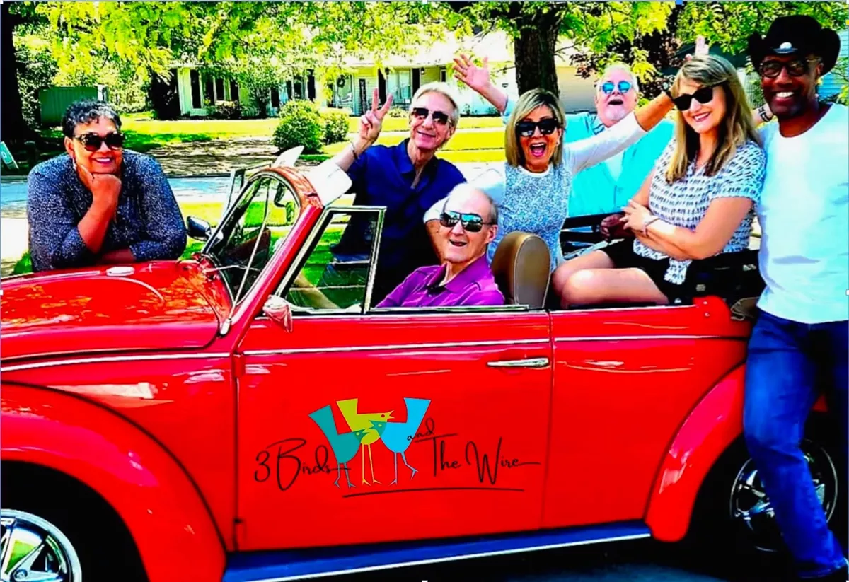 3 Birds and The Wire