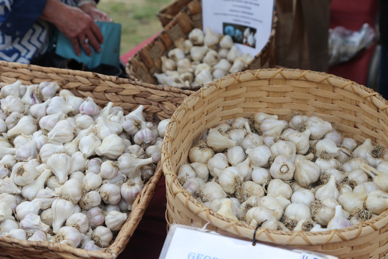 34 Photos from Cleveland Garlic Festival 2015