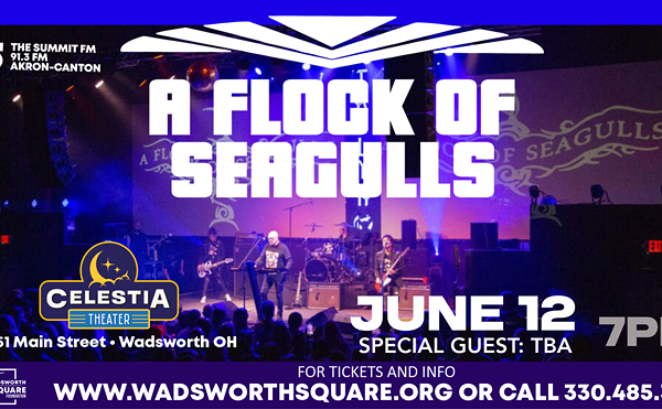 Image: A Flock of Seagulls