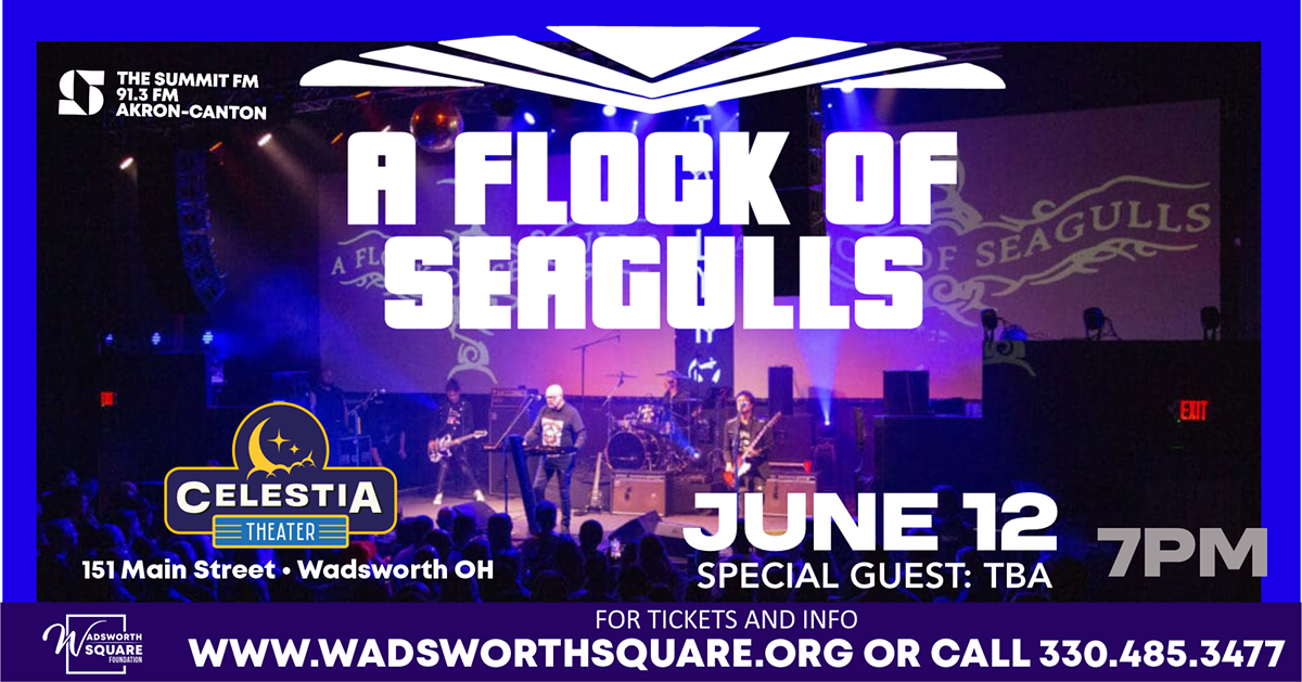 A Flock of Seagulls