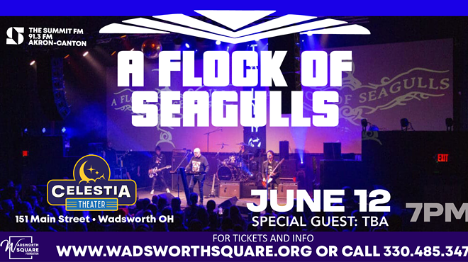 Image: A Flock of Seagulls