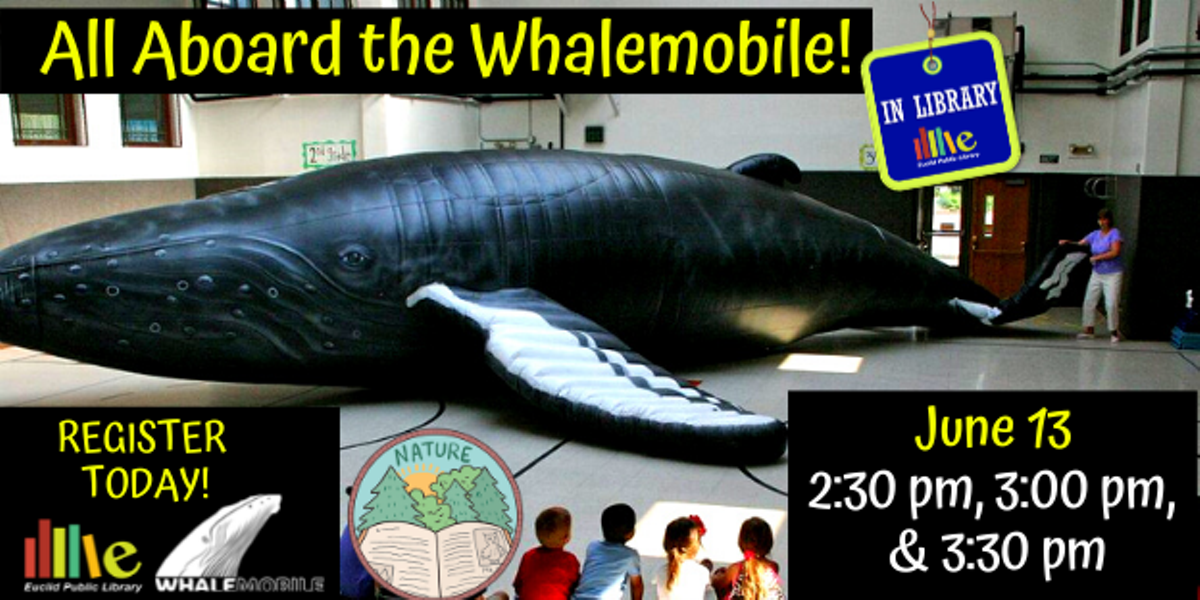 See a WHALE inside the library!