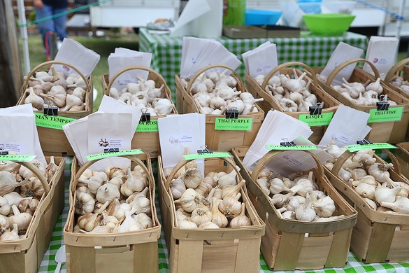 All the Memorable Moments From the 2019 Cleveland Garlic Festival