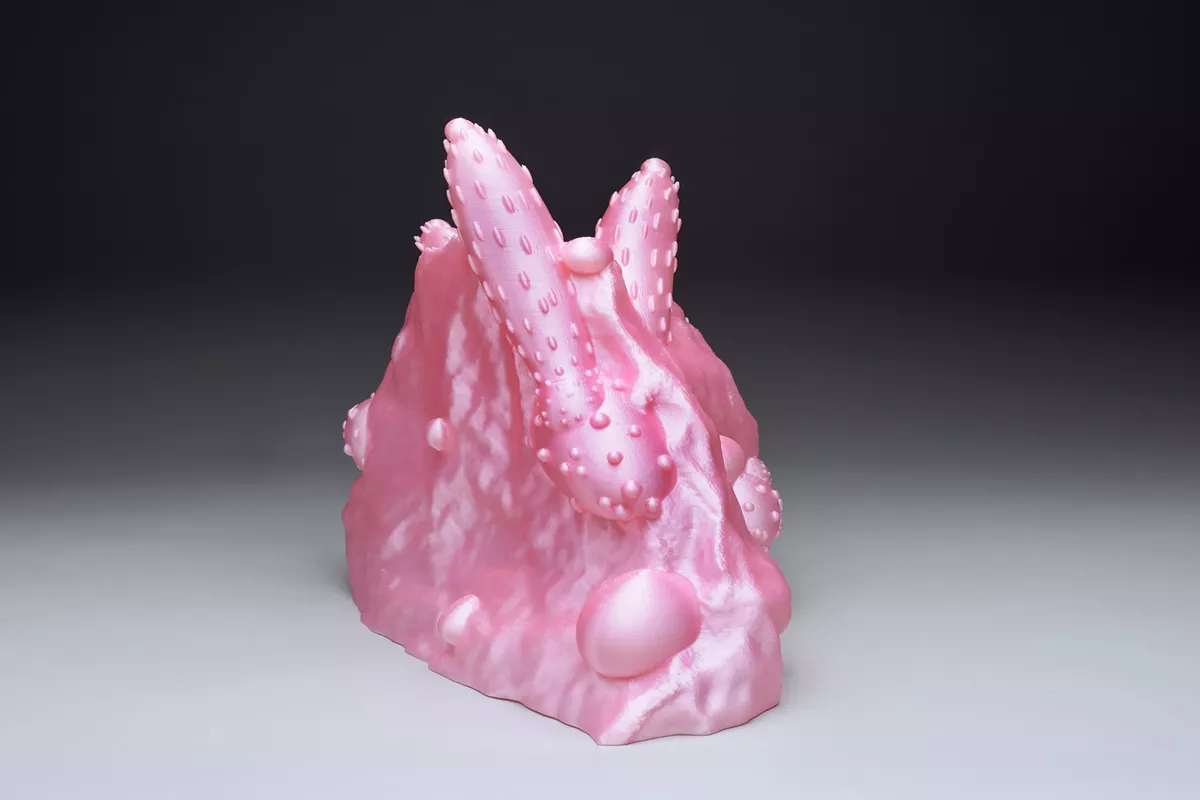 Emergent Bacteria-Pink Rock