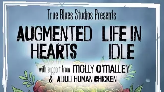 Image: Augmented Hearts, Life in Idle, Molly O'Malley, and Adult Human Chicken
