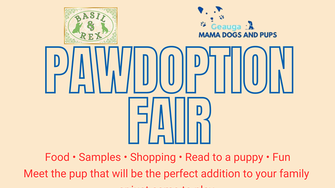 Image: Basil & RexPawdoption Fair