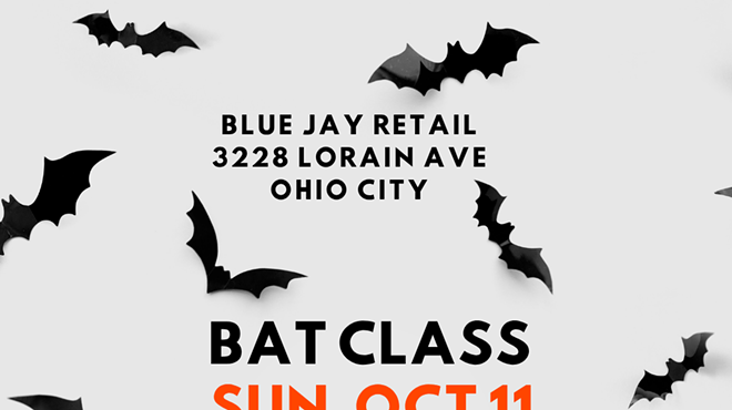 Image: Bat Class