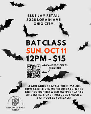 bat class flyer