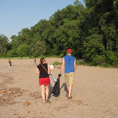 Volunteers cleaning litter on the beach.
