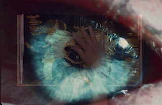 still image from Anatomy Collected video