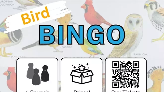 Image: Bird Bingo Game Night