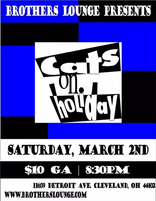 Image: Cats on Holiday at Brothers Lounge!