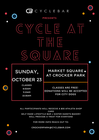 Image: CYCLE AT THE SQUARE