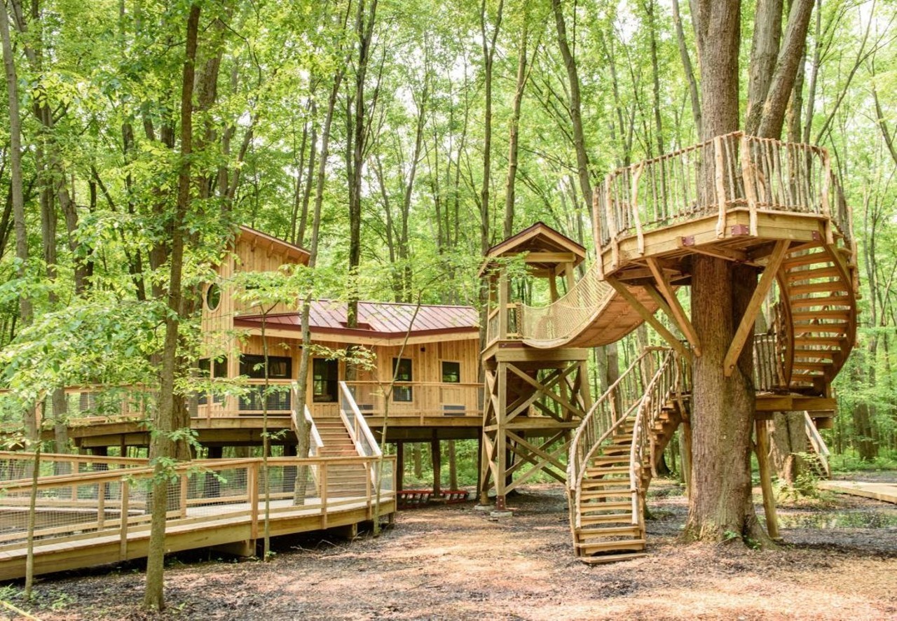  Cannaley Treehouse Village
3520 Waterville Swanton Rd, Swanton
Located in northwest Ohio, the Metroparks of Toledo will debut this gorgeous treehouse village in the summer of 2020. With four breathtaking treehouse cabins and beautiful surroundings, this is sure to be a popular tourist destination.
