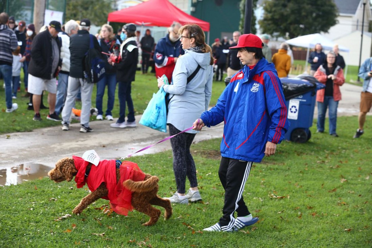 Everything We Saw at the 2021 Spooky Pooch Parade
