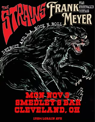 Image: Frank Meyer/The Strains/Robert Conn Band