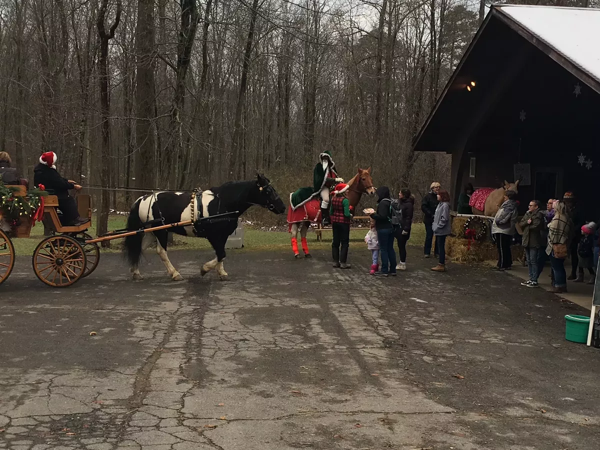 Horse-drawn carriage ride/Father Christmas