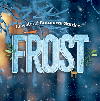 Image: FROST: An Ice-Capped Garden Experience