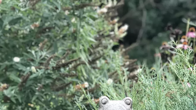 Image: Full Harvest Moon: Magic, Meditation & Mindfulness