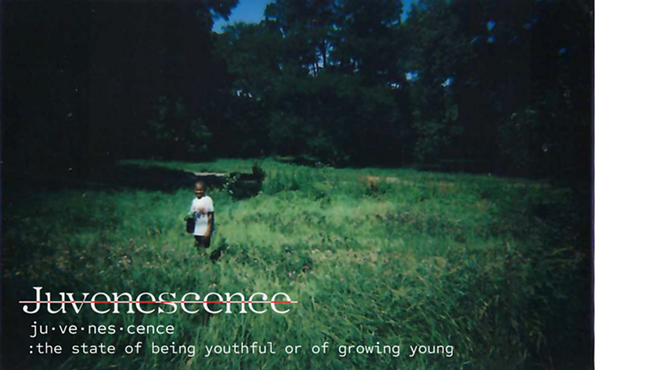 Image: Juvenescence: The Central Perspective of Growing Into Youth