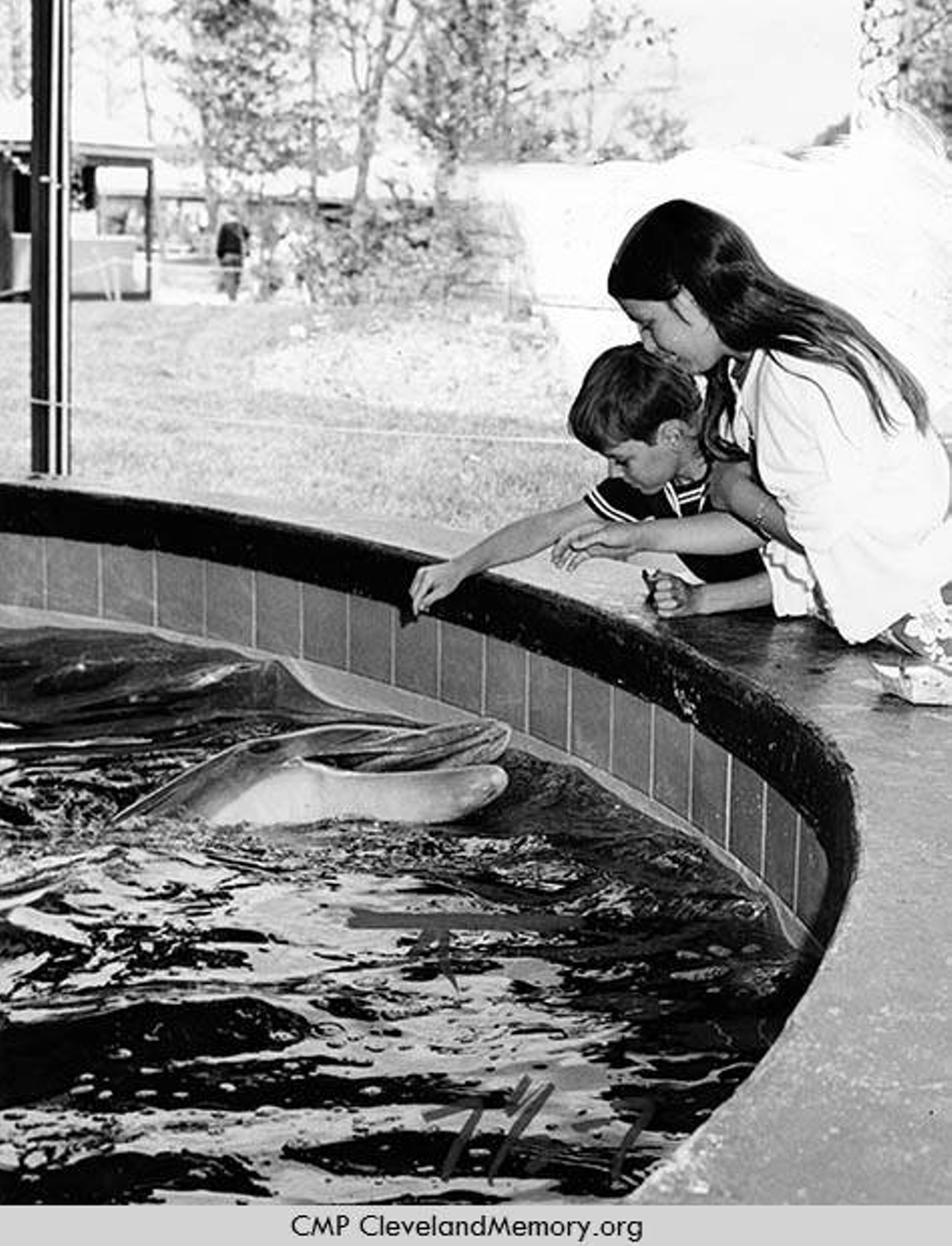  Children and Dolphin, 1970 