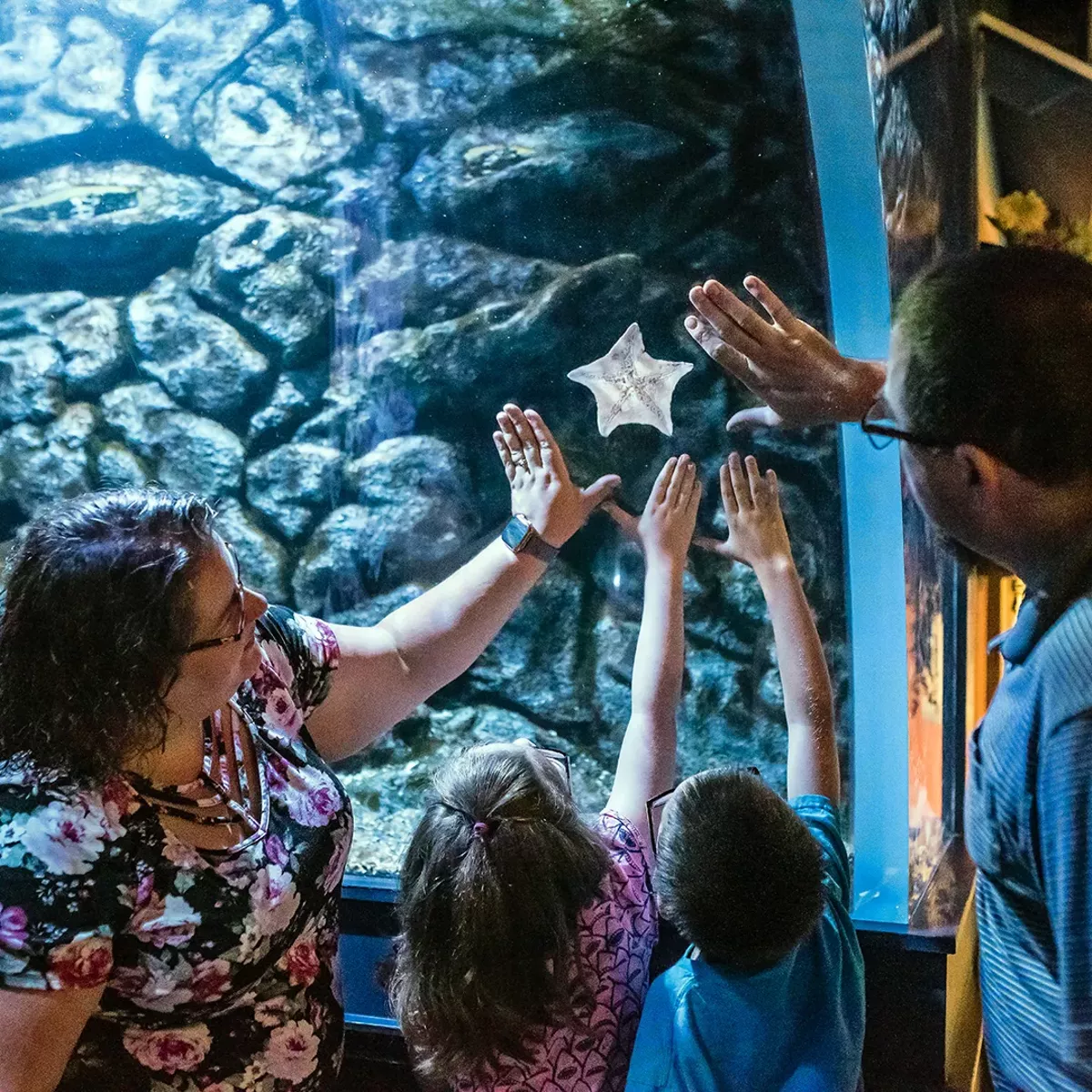 Memorial Day Weekend at Greater Cleveland Aquarium