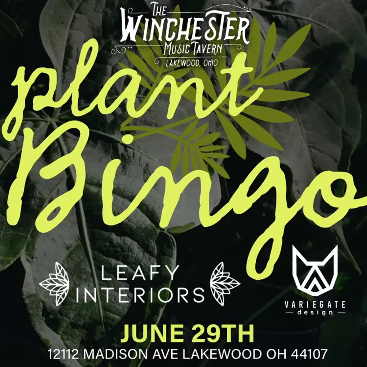 june29plantbingo.webp