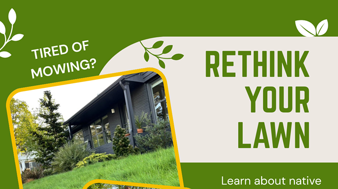 Image: Rethink Your Lawn