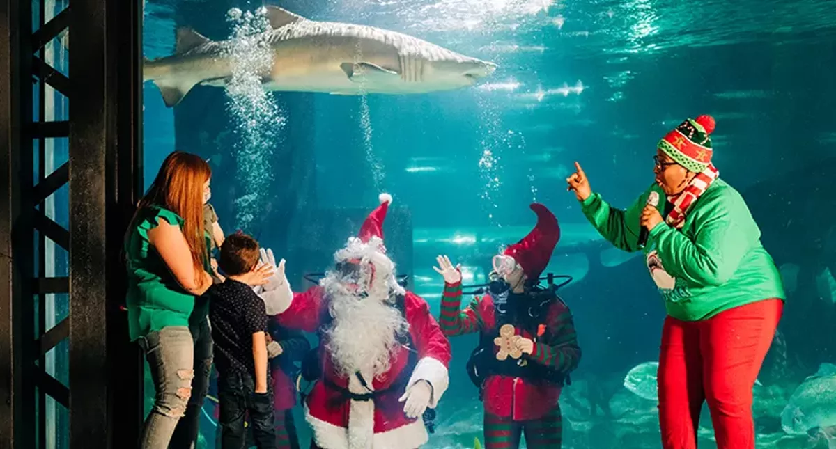 Scuba Claus at Greater Cleveland Aquarium