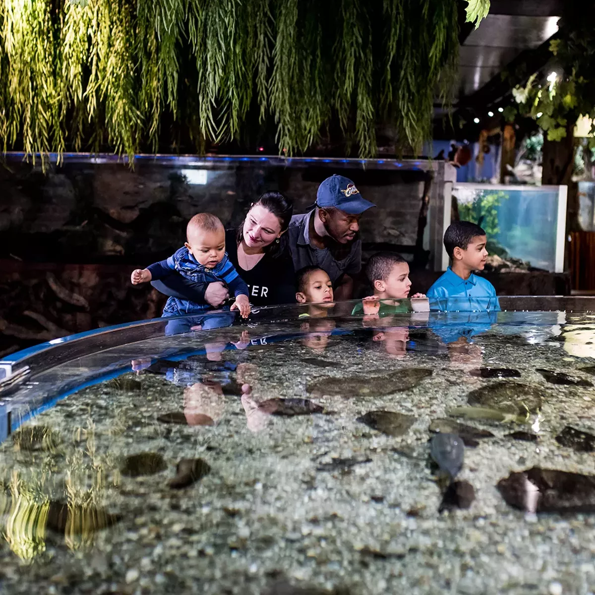 Family at Greater Cleveland Aquarium