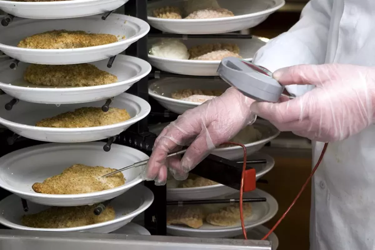 taking temperature of cooked chicken